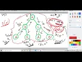 Smallest String Starting From Leaf LeetCode Depth First Traversal DFS Strings