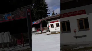                                               دندنها