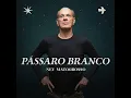 Pássaro Branco - Ney Matogrosso
