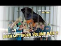 Download Lagu [ Murai Batu ESCOBAR ] Ubah Settingan Volume Jadi Naik !! Juara 1 Sesi Utama Raih Hadiah Motor