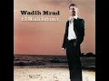 George wassouf Amar El Zaman