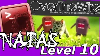 Python Web Hacking Remote Code Execution Natas OverTheWire Level 10