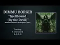 Dimmu Borgir - Spellbound (By the Devil) (bass cover with tab)
