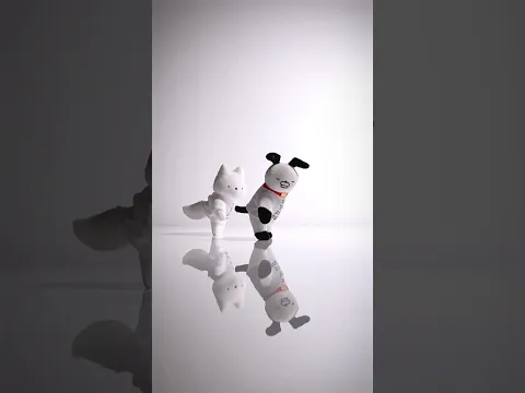 기혼 & 기혼