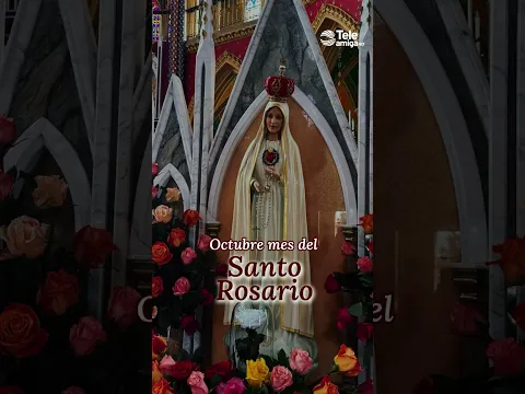 ¿Por qué rezar el Santo Rosario? El poder del milagro en tu oración 🙏✨
