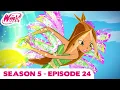 Download Lagu Winx Club - FULL EPISODE | Saving Paradise bay | Season 5 Episode 24
