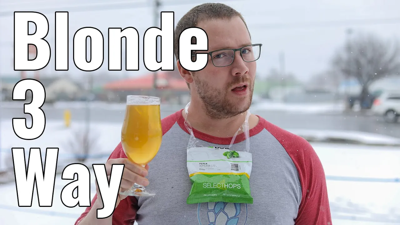 Blonde Ale Yeast Experiment | Sundew Vs. Bananza Vs. Kaiser | New Omega Yeast's