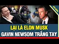 Lagu Lại là Elon Musk nhân vật chính bùng nổ đêm nay, khiến Ganvin Newsom TRẮNG TAY sau một đêm