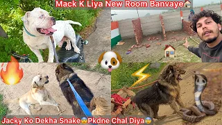 mack k kiya new room banvye farm mai jacky ko snake dekh gya picha pad gya