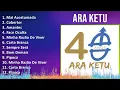 Download Lagu Ara Ketu 2024 MIX Melhores Músicas - Mal Acostumada, Cobertor, Amantes, Face Oculta