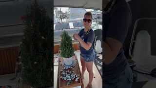 Christmas tree on a boat
