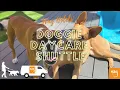 Wag Hotels Doggie Daycare Shuttle