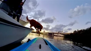 We Bring Her EVERYWHERE!