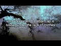 Download Lagu Kiss it off me - Cigarettes After Sex (Lyrics)