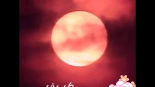 لي كل الناس بتتكلم على كل الناس 