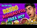 Datos de Lotto Activo Hoy Pronosticos y Analisis de Animalitos