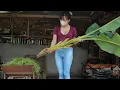 Download Lagu Talented 18-Year-Old Girl Restore Farm Mower Full Rebuild From Start to Finish!