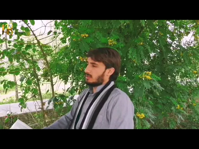 ⁣طور الشجي من مقام (النهاوند) سورة يوسف/القارئ حيدر البزوني/ رابط التلاوة كاملة في الوصف👇🏽