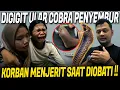 Download Lagu NOLONG KORBAN GIGITAN ULAR COBRA PENYEMBUR !! KORBAN HISTERIS KESAKITAN !!