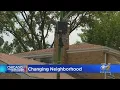 Neighbors Feel Stuck On North Lawndale Block