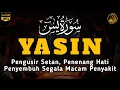 Surah Yasin Pengusir Setan dan Penyembuh Segala Macam Penyakit, Ngaji Merdu | By : Alaa Aqel