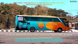 Download 7 Bus Legendaris Asal Wonogiri \u0026 Sejarah Singkatnya - Tetap Bertahan di Kerasnya Persaingan MP3