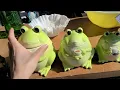 Thrift with me at the Webster Florida Flea Market