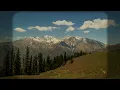 El Búho - Aguas Claras |  Parvati Valley, Himachal Pradesh | Pranamera Art