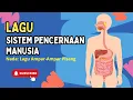LAGU SISTEM PENCERNAAN MANUSIA (NADA: AMPAR-AMPAR PISANG) #laguanak #pencernaan #manusia #ipas #ipa