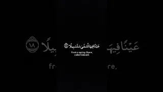 و ي س ق و ن ف يه ا ك أ س ا ك ان م ز اج ه ا ز نج ب يل ا 