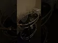 Couples Massage in Austin TX