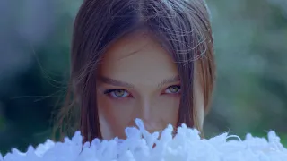 Misha Miller - Vantule