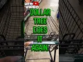 DOLLAR TREE DOES IT AGAIN SHOP WITH ME DOLLAR TREE