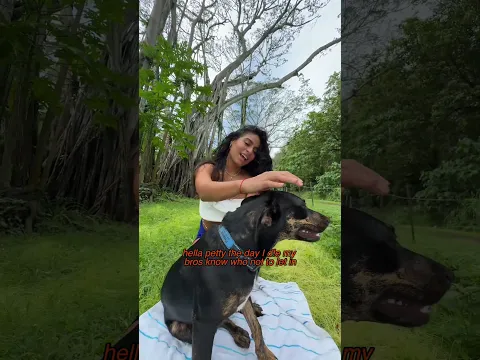 can I pet that dog??!