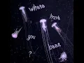 where have you been ?
