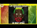 IN DEEP SPACE ⬥Lee Scratch Perry meets Starkee The Whitebelly Rats⬥