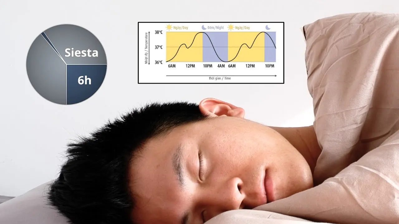 Outline Video Ngủ ÍT được NHIỀU 💤 (khoa học MỚI)