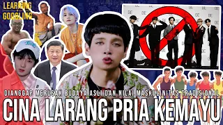 Download China Putuskan Larang Pria Kemayu Tampil Di TV! K-pop Dianggap Racun! Kenapa | Learning By Googling MP3