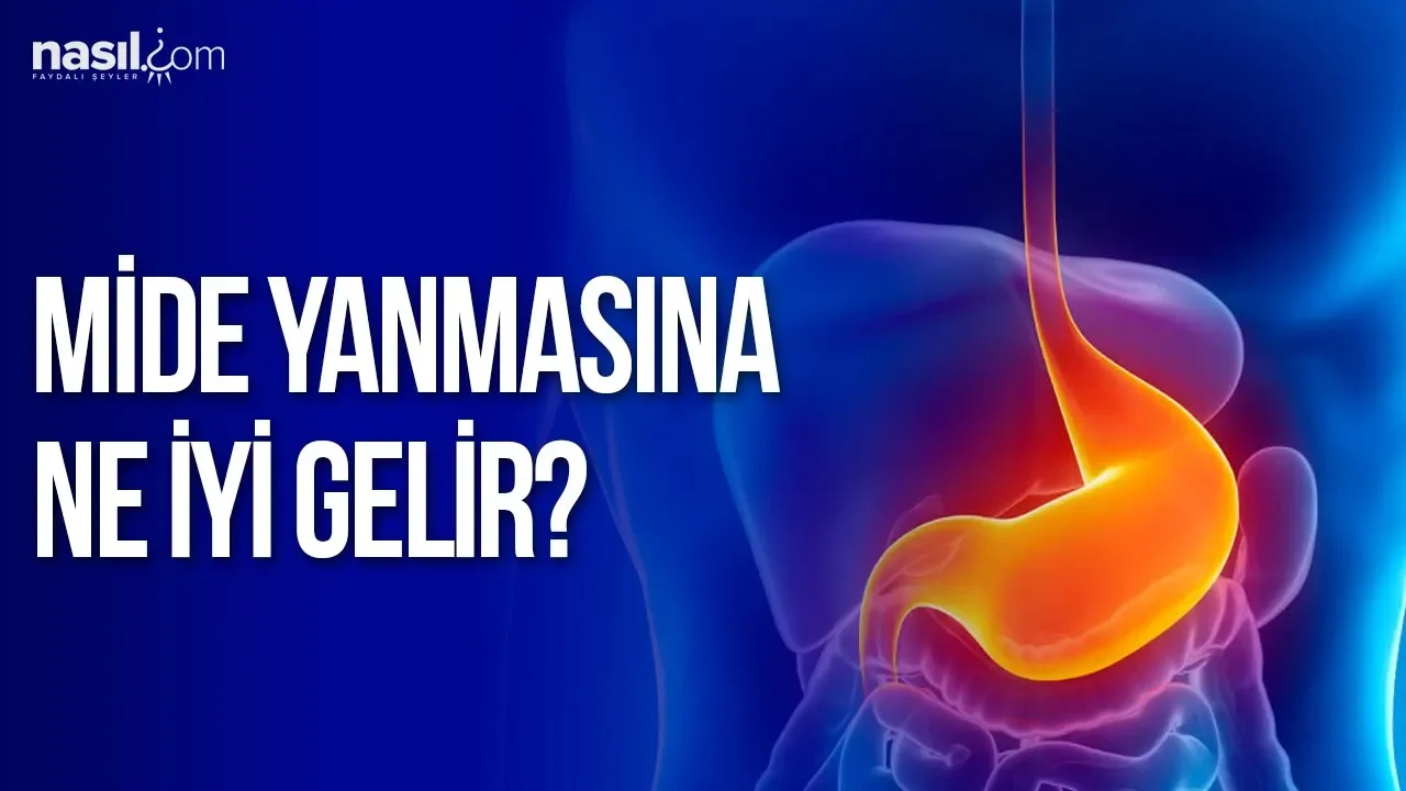 Mide yanması ve mide ağrıları için neler yapılmalıdır? Mide rahatsızlığı yaşayanlar hangi bitkiler s. 