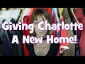 Giving Charlotte a NEW Home