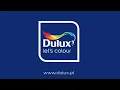 Dulux Logo History