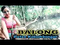 Download Lagu Mancing di KOLAM HUTAN\