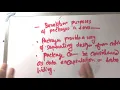 Java package
