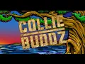Collie Buddz - Blind to You ft. New Kingston Live at Cali Roots 2013 (Live Video)
