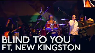 collie buddz blind to you ft new kingston live at cali roots 2013 live video 