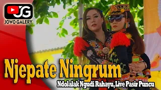 Download ndolalak purworejo - njepate Ningrum | ndolalak ngudi Rahayu live pasir puncu MP3