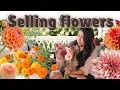 Download Lagu Making bouquets for the roadside stand, you don't want to miss these dahlias 🤩