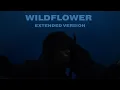 Lagu WILDFLOWER by billie eilish but the best part is extended