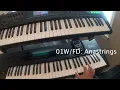 Grupo Ladron, "Estoy Enamorado", teclado
