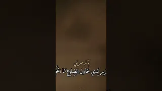 لا ترحلي عباس عجيد العامري استشهاد فاطمة الزهراء عليها السلام استشهاد السيدة فاطمة الزهراء 